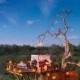 Sleep Above The Lions In These Luxe African Treehouses