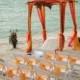 37 Cheerful Orange Beach Wedding Ideas 