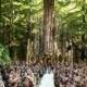 10 Insane Facts About Sean Parker's Enchanted Forest Wedding