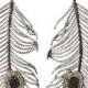 Diamond Feather Earrings By Niko Koulis