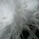 Snow White Ostrich Feather Flowers BLING By KristinDangerDesigns