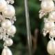 Pearl Earrings- Wedding Jewelry, Bridal Earrings, Swarovski , Lamor Swarovski Crystal And Pearl Bridal Earrings