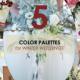 5 Winter Wedding Color Palettes
