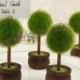 Topiary Place Card Holders