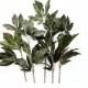 Item 038- 5 DARK Peony Stems..up to 14 inches..Artificial Floral Stems...DIY Bouquet...Floral Arrangement...diy Wedding bouquets