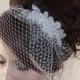 Wedding Birdcage Veil  with Crystal rhinestone applique VI04