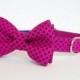 Dog Bow Tie Collar - Pink and Navy Polka Dots