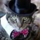 The Aristocrat black top hat for cats and dogs (hat only)