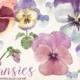 Watercolor pansies, pansy, hand painted spring flowers, viola, bouquet, florals, clip art, watercolour, diy invitation, party stationery