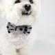 Bow tie- dog collar accessory- black polka dot print bow tie- wedding dog collar- pet bow tie- cat bow tie