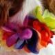 DOG FLOWER COLLAR - Pet Wedding, Tropical Flowers, Beach, Stretch dog collar, Pet Flower, Dog Wedding, Pet Corsage, Dog flower clip, Dog Bow