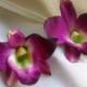 BRIDAL HAIR FLOWER, Hawaiian Dendrobium Orchid, Purple Orchid, Tropical Hair Clip, Silk Flowers, Wedding Accessory, Silver Pin,Beach Wedding