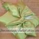 Knottie Style PET Ring Bearer Pillow...Made in your custom wedding colors...shown in all clover green
