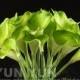 Calla Lily 20pcs latex Real Nature Touch Flowers Bridal Bouquet green Wedding Bouquet with Scent  the same as real flower for DIY KC52