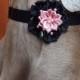 Black & Pink Fabric Flower Dog Collar Accessory for Cats and Dogs - Great Wedding Accessory for your pet!