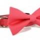 Wedding dog collar-Pink / Coral Dog Collar with bow tie set  (Mini,X-Small,Small,Medium ,Large or X-Large Size)- Adjustable