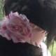 DOG FLOWER COLLAR -  Pink ribbon collar with flower, Pet Wedding,Ties on, Pet Flower, Dog Wedding, Pet Corsage, Dog flower , Dog Bow