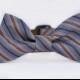 Limited Edition Blue & Brown Striped Bow Tie Dog Collar