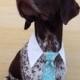 Elegant Turquoise Damask Print Neck Tie for DOGS & CATS - Pet Collar Accessories - Pair w/ our Preppy Shirt Collar or Collar Cover - Wedding