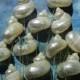 Polished Pearly Turbo Seashell Stems - 12 Pearly Swirls for Wedding Bouquet Bridal Bouquet or Centerpieces