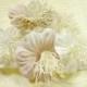 Velvet Millinery Flowers Seashell Pearl Ivory Blush Poppies Yo Yo for Hats, Fascinators, Bridal Bouquets, Weddings
