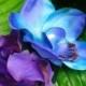 TROPICAL HAIR CLIP - Hawaiian Orchids, Maui Blue, Purple, Exotic Hair Clip, Beach Bride, Fascinator, Flower Headpiece,Wedding Hair Accessory