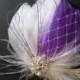 Wedding Bridal White Purple Feather Rhinestone Jewel Veiling Head Piece Hair Clip Fascinator Accessory