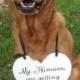 Dog sign - my Humans are Getting Married -One sided - HEART for Dog or Baby, Wedding Sign, Ring Bearer Sign