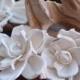Sola Flowers - Sola Gardenias 14 pieces - Sola Flower- Wedding Flowers- Wedding Decorations