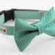 Green Seersucker Bow Tie Dog Collar