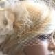 Ivory Silk organza flowers hair clip and birdcage veil ( 2 items) wedding reception bridal party