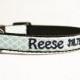 NEW:Personalized - Aqua Moroccan Dog Collar - Made to order