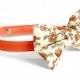 Floral Cat Collar / Small Dog / Bow Tie / Breakaway / Buckle