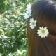 Daisy Flower Crown, Flower Headband, Daisy Head Band, White Daisies, Coachella , Hippie Headband, Daisy headband, Flower Child, White Flower