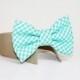 Gingham Dog Bow Tie- Shirt and Bow Tie Collar-  Wedding Dog Tie- Mint