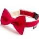 Dog Bow Tie - Navy Polka Dots on Red
