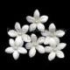 Bridal Hair Accessories, Bridal Hair Flowers, Wedding Hair Pins - 6 Pearl Pale Ivory Stephanotis Bridal Hair Pins