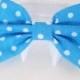 Dog Bow Tie : New Colors Turquoise Polka Dot Watermelon and Tango Tangerine Holiday Wedding Pet Photo Prop