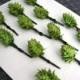 DIY Boutonniere Hops for Weddings - 10 Hops Cones w/Stems and Wires