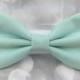 Cool Mint Small Pet Dog Cat Bow / Bow Tie