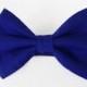 Cobalt blue bow tie - cat bow tie, dog bow tie, collar attachment