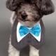 Charcoal Gray Pin-Striped Wedding Dog Tuxedo with Your Choice of Bow Tie Color