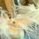 Shoe Clips -Ostrich Feather Bridal Wedding Shoe Clips - Sparkling Rhinestone Rondells, Freshwater Pearls, Swarovski Crystals