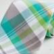 The Beau- men's aqua/grey/lime plaid necktie