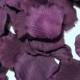 Eggplant Deep Purple Rose Petals / 200 Artifical Petals / Romantic / Wedding Decoration / Flower Girl Petals - Love