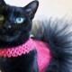 Cat Clothes Hot Pink and Black Cat Tutu with Zebra Bow pet clothing cat clothing pet clothes