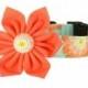 Coral Flower Dog Collar Set, Collar and Flower, Girly Dog Collar, Wedding Dog Collar: Peach Wallflower