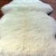 Genuine Sheepskin Rug One Pelt Ivory Fur 2 X 3