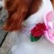 DOG FLOWER COLLAR - Pet Wedding, Pink Orchid. Red Roses, Stretch dog collar, Pet Flower, Dog Wedding, Pet Corsage, Dog flower clip, Dog Bow