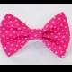 Raspberry pink polka dot - cat and dog bow tie